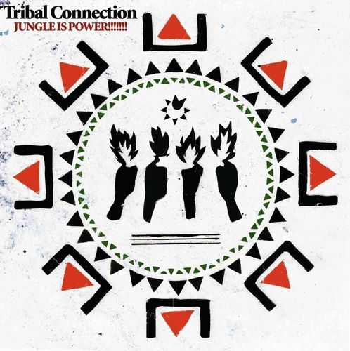JUNGLE PARTY Tribal Connection VOL.80