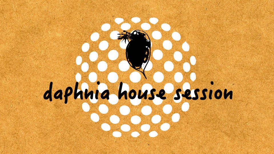 daphnia house session