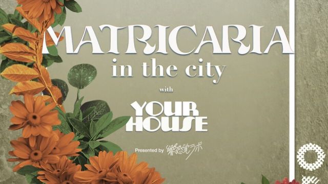 MATRICARIA in the city with YOUR HOUSE
