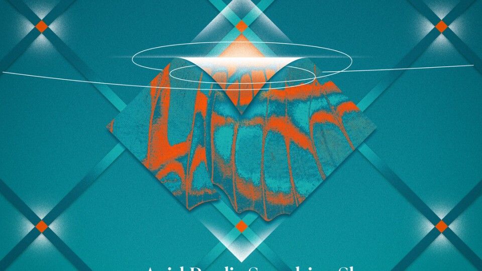 MIDNIGHT EAST presents Acid Pauli 