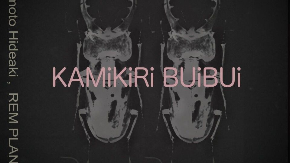 KAMiKiRi BUiBUi