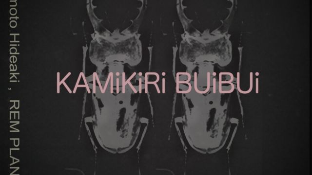 KAMiKiRi BUiBUi