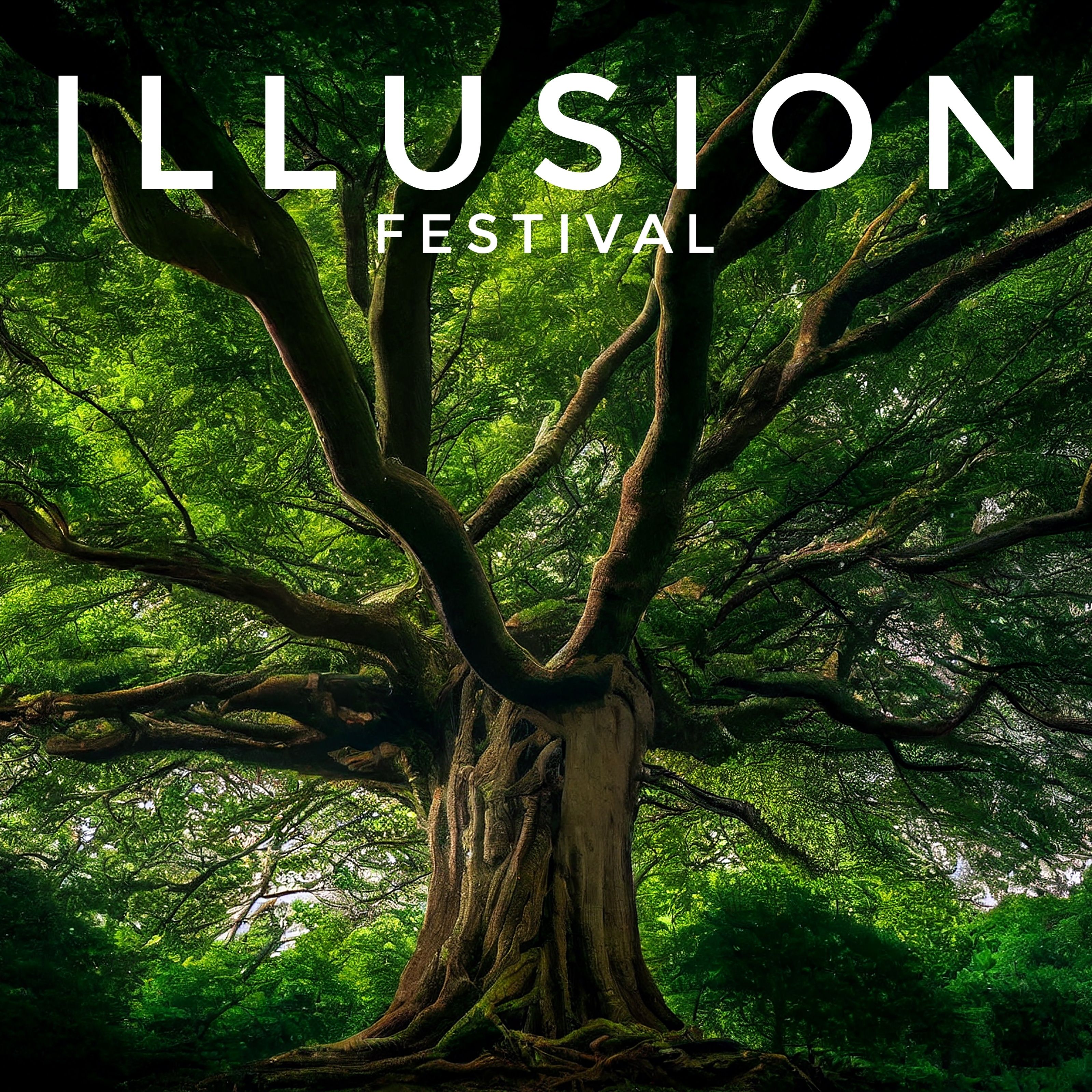ILLUSION FESTIVAL
