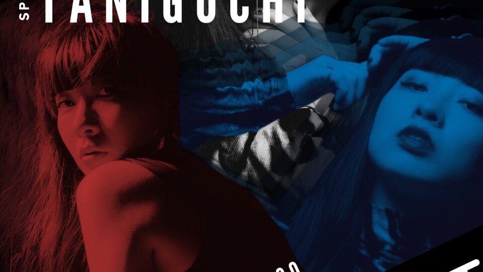 Contrast 5th aniv. Risa Taniguchi