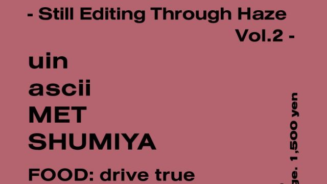 Still Editing Through Haze Vol.2
