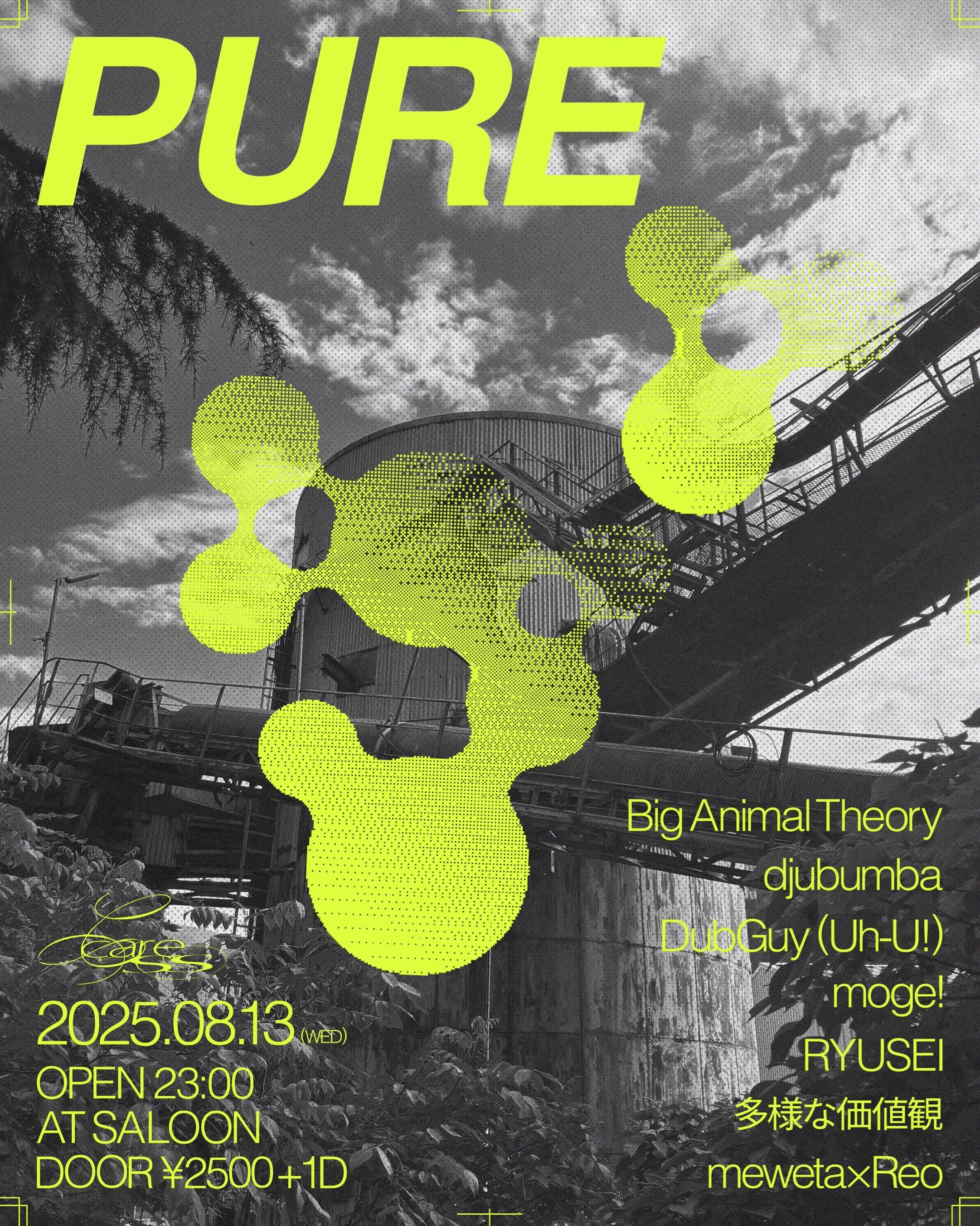 -PURE- supported by CARESS