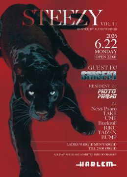 STEEZY VOL.11