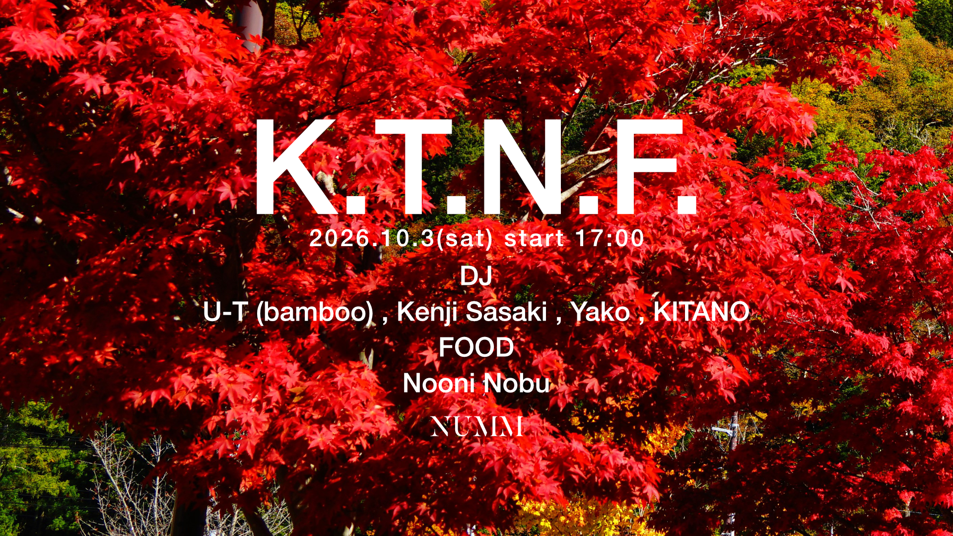 K.T.N.F.