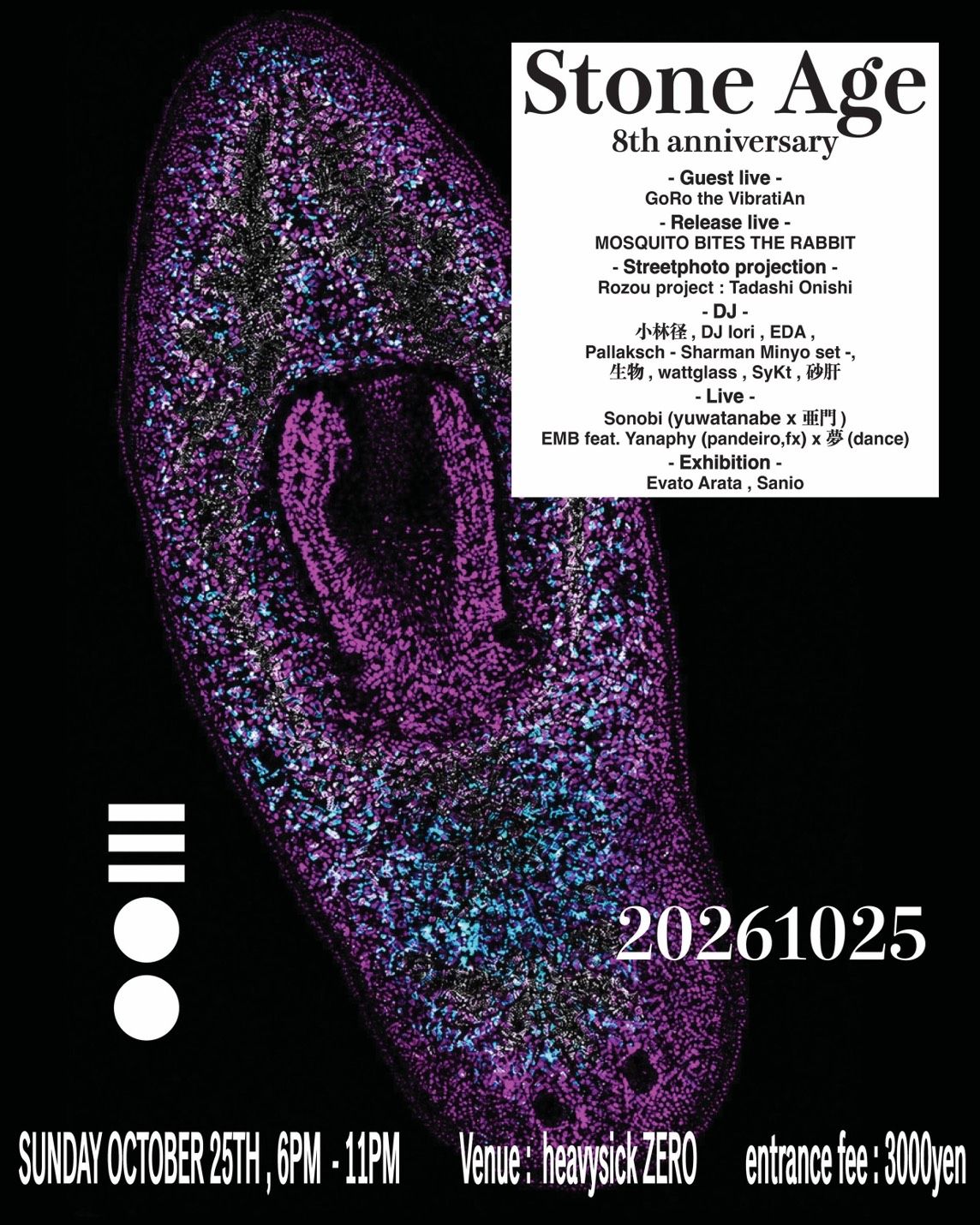 Stone age 8th Anniversary