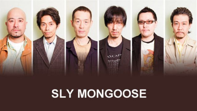 SLY MONGOOSE