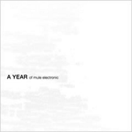 A Year Mule Electronic