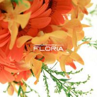 common ground recordings presents FLORIA