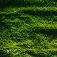 spray vol.04