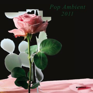 POP AMBIENT 2011
