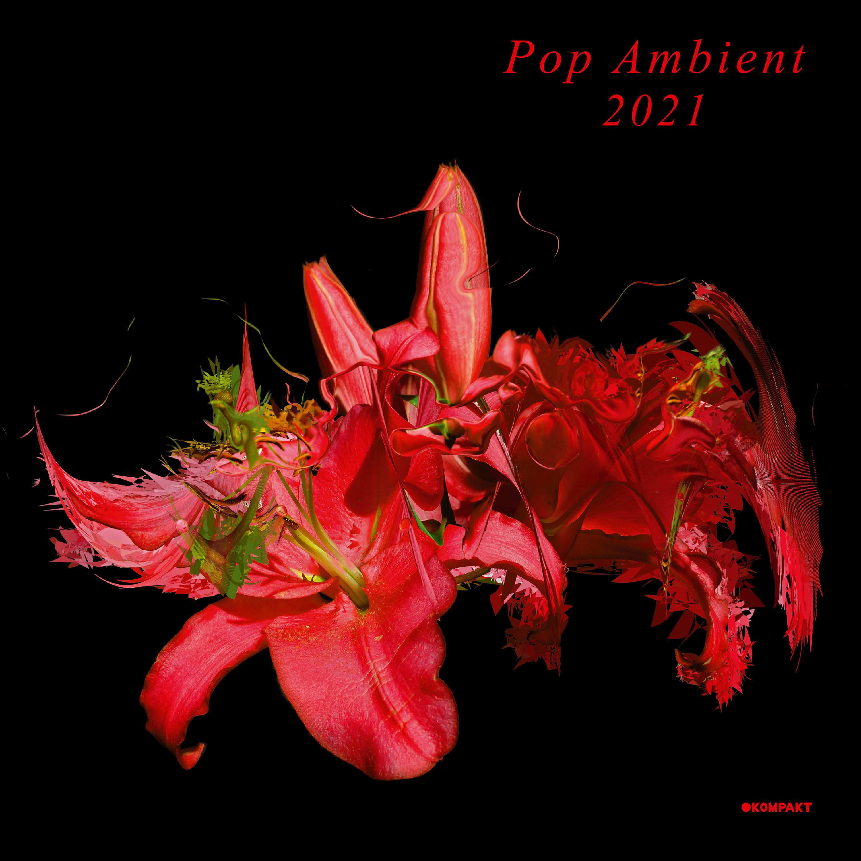 Pop Ambient 2021