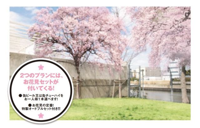 新木場"ageHa"が桜まつりを開催