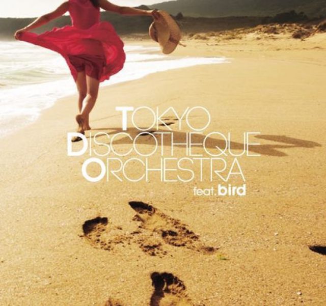 リリース第3弾はbird。Tokyo Discotheque Orchestraが新EPをリリース