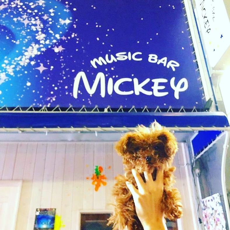 musicbar mickey
