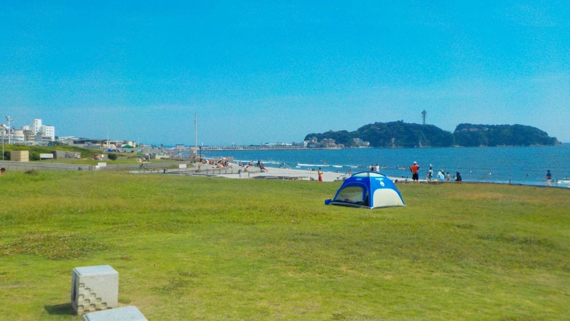 湘南海岸公園 ヤシと芝生広場